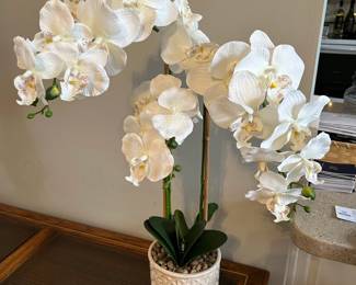 A Great Selection of Indoor Decor and Framed Artwork