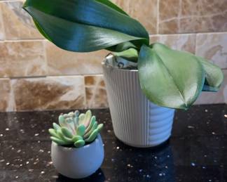 Faux Plants in White Pots