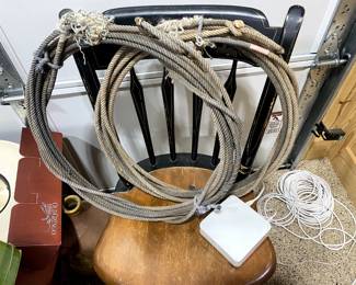 WANNA DO SOME ROPING?