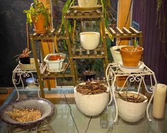 (Multiple) Indoor Potted Plants & Ceramic Planters – Mixed Variety
