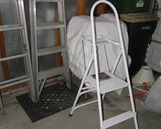 Step platform ladder