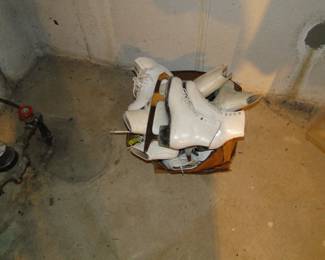 Skates of the figure kind