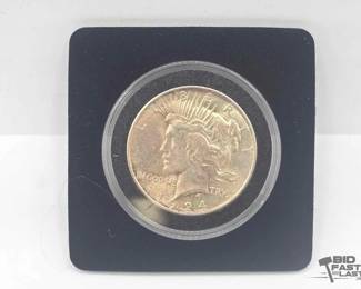 678 Silver Peace Dollar