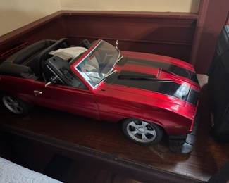 Large radio controlled car