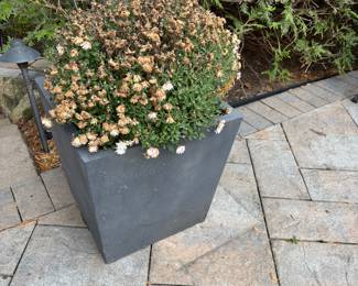 RESTORATION HARDWARE FLOWER POTS(HEAVY)