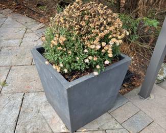 RESTORATION HARDWARE FLOWER POTS(HEAVY)