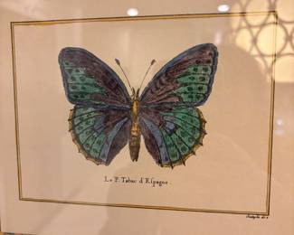 BUTTERFLY RESTRIKES PROFESSIONALLY FRAMED