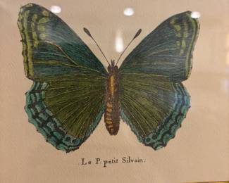 BUTTERFLY RESTRIKES PROFESSIONALLY FRAMED