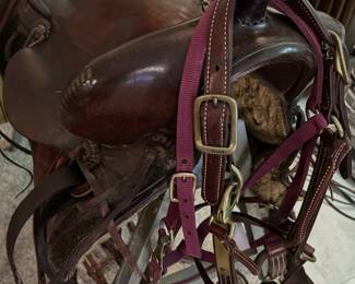 Horse Saddle and Halters