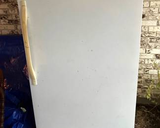 VERY NICE LIKE NEW UPRIGHT FREEZER.