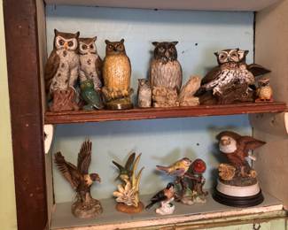 Owl collection