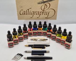 28 FountainPensVintageInksPlatignumParkerPanther