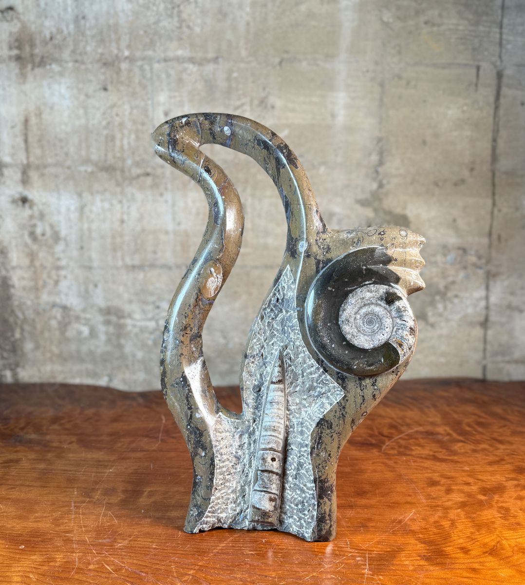 This lot features a stunning polished fossil sculpture featuring embedded ammonite and orthoceras fossils. This sculpture measures, 17.5” H x 12” W x 4” D.