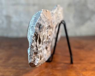 This lot features a display of several ammonite fossils embedded in a rock matrix. Ammonites were extinct marine animals closely related to modern-day cephalopods like the nautilus, octopus, and squid. This rare piece of history measures, 8.5” H x 14.5” W x 2.5” D.
