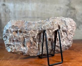 This lot features a display of several ammonite fossils embedded in a rock matrix. Ammonites were extinct marine animals closely related to modern-day cephalopods like the nautilus, octopus, and squid. This rare piece of history measures, 8.5” H x 14.5” W x 2.5” D.
