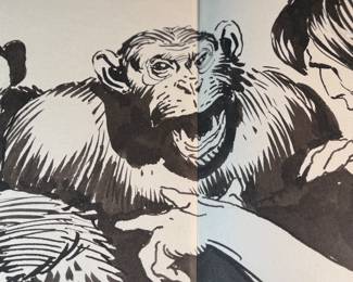 This lot features a publisher’s proof of Joe Kubert’s Tarzan of the Apes Artist’s Edition from IDW Publishing. These books were put out as a limited edition, signed, and mnumbered remarqued edition of the graphic novel. This one in particular is an unsigned publisher’s proof in the original box, in excellent condition. A rare find!
