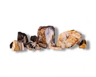 97 LargeLotofPetrifiedWoodSpecimensMixedSizes