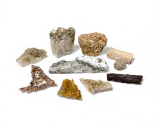 85 9pcsMixedFossilMineralLotPetrifiedWoodBariteAraucaria