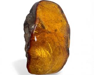26 LargeDominicanAmberFossilResinSpecimen