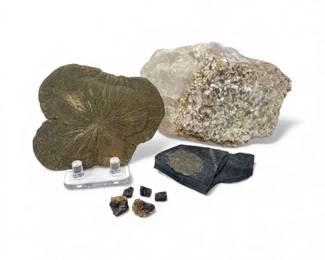 27 PyriteSunMineralSpecimenLotLargeSparklyPieces