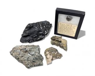 44 CampodelCieloMeteoritePyriteGalenaMineralSpecimenMore