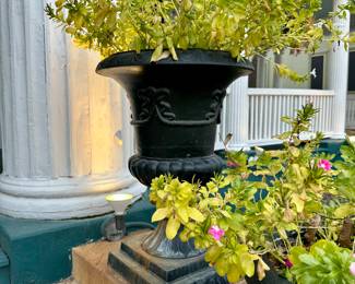 Cast Iron Urn Planters