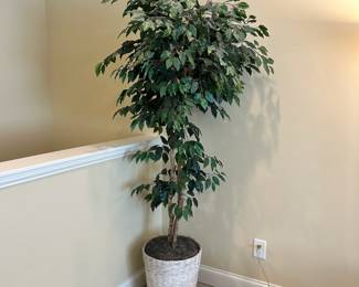 W56 - $20. Faux Tree. 80" Tall