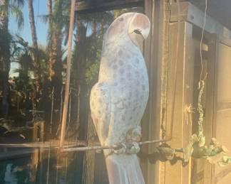 Copper Parrot in the Bustamante Style