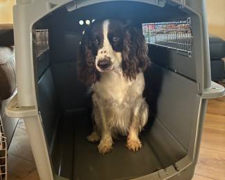 Four Sky Kennels, IATA compliant, suitable for airline travel. Three sizes: 2 medium, 1 large, 1 giant. (proceeds to local dog rescue)