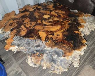 Petrified Wood Coffee Table 