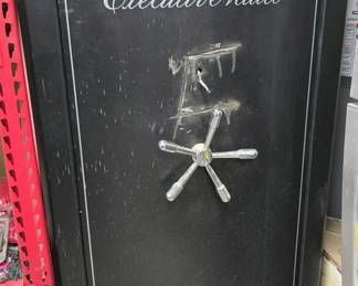 Executive Vault Gun Safe 