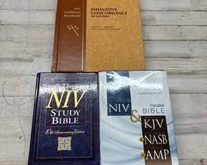 Bible Reference Lot NIV Study Bible Parallel Bible KJV NASB AMP Concordance