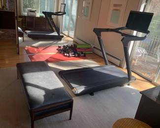 Exercise - Treadmill, Peloton D. Bells, Bench 