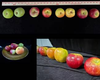 Vintage ceramic apples. Hand painted and very realistic. Set of eight.  $45