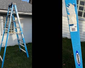 8 ft. Fiberglass Step Ladder (12 ft. Reach Height) with 250 lb. Load Capacity $45