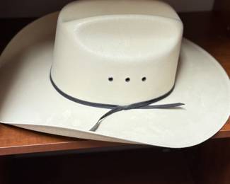 Menâs western hat