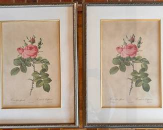 Two framed botanical print titled "Rosier des Parfumeurs" Pierre-Joseph Redoute 