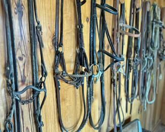 English and Western Briddles