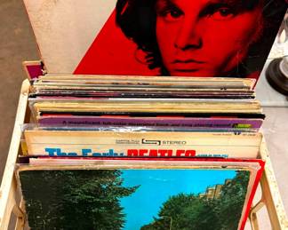 Beatles, The Doors Vinyl Reord Albums