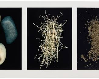 1093
Barbara T. Smith
(b. 1948)
"Rocks, Weeds, Dirt," 2020
Archival pigment print on thick wove paper
A bon à tirer impression, aside from the edition of 50
Signed, titled, dated, and inscribed in pencil in the lower margin: Barbara T. Smith 2020 / B.A.T.; Cirrus Editions, Los Angeles, CA, pub., and with their blindstamp in the lower left and upper right margin corners; with the Cirrus Editions copyright ink stamp and pencil work number, 736c-BTS19, both verso
Each image: 15" H x 11" W; Sheet: 18.5" H x 38.5" W
Estimate: $1,000 - $1,500