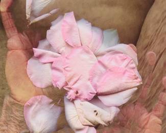 1091
Barbara T. Smith
(b. 1948)
"Signifier 3," 2016
Archival inkjet print on thick wove paper
A bon à tirer impression, aside from the edition of 35
Signed, dated, and inscribed in pencil in the lower margin: Barbara T. Smith '16 / BAT; Cirrus Editions, Los Angeles, CA, pub., with their blindstamp in the lower left margin corner; with the Cirrus Editions copyright ink stamp and pencil work number, 706c-BS16, both verso
Image: 35" H x 25.5" W; Sheet: 41.625" H x 30.5" W
Estimate: $1,500 - $2,500