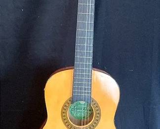 Skylark Brand Guitar