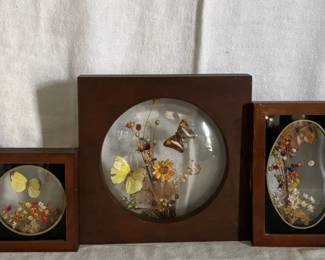 Vintage Homco Plastic Oval Framed Prints, Preserved Dried Flowers Butterflies