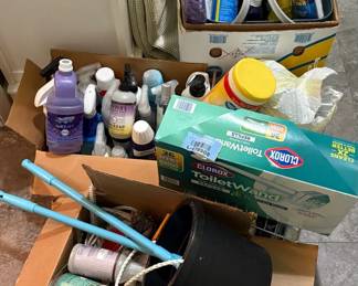 Mystery Cleaning Supplies