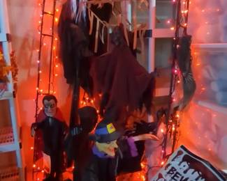 Spooky Outdoor Halloween Decor Mystery Lot