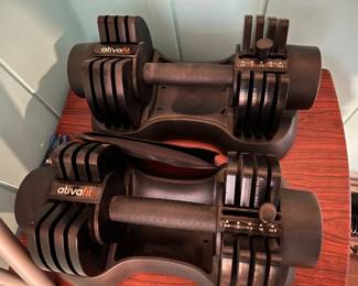 Adjustable Weights