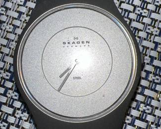 Skagen Watch