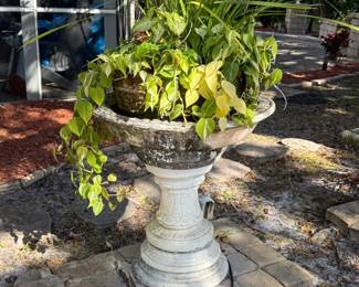 Cement fountain and plant