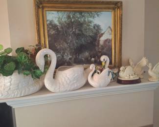 Swans