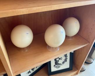 How cool this to have three ostrich eggs